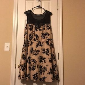 This is a cute mesh neck line dress! Tan and Black